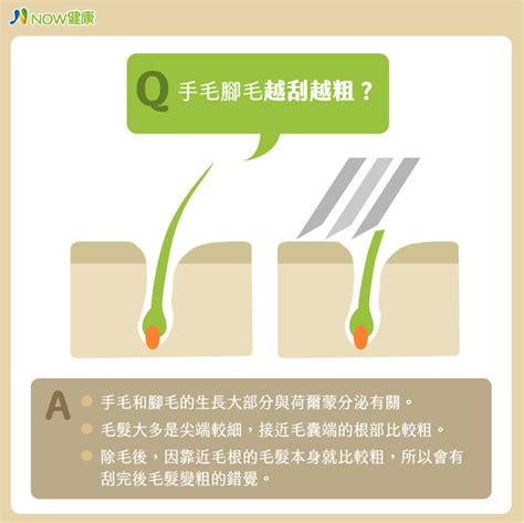 體毛變粗|用除毛膏毛會變粗嗎？破解常見3迷思，教你如何正確。